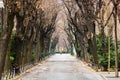 Natural view of an empty alley in Cismigiu park in Bucharest Royalty Free Stock Photo