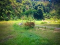 Natural View Hilly Valley Plants In The Warm Sunshine On A Sunny Day Around Titab Ularan Dam