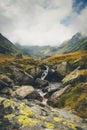 Natural view of mossy rocky creek in the countryside on a foogy day