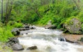Natural view of narmada river flows through Wild.