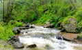 Narmada River India