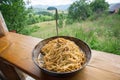 Natural view and pan with Italian pasta with tomato and fork. Spaghetti food on terrace of rural home