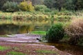 Natural view of the pond surrounded by lush greenery reflected in the water on an autumn day