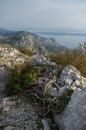 Natural view of rocky mountain terrain in Nature Park Makarska, Biokovo in Croatia Royalty Free Stock Photo