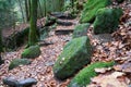 Natural view of stones and trees covered with green moss in a forest Royalty Free Stock Photo