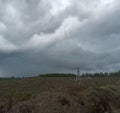 Tripod stands alone in the plantation area, and the background cloudy sky