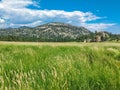 Natural view of a vast greenery and mountain in Evergreen, Colorado in the USA