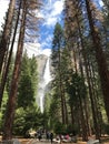 Natural view of Yosemite Falls and forest in California, USA