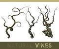 Natural vines