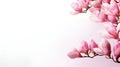 Natural vintage greeting card with pink magnolia Royalty Free Stock Photo