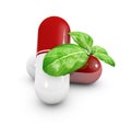 Natural vitamin pills, Alternative medicine. 3d Illustration Royalty Free Stock Photo