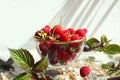 Natural vitamins: ripe raspberries in a glass bowl close-up on a gray background with a window shadow, space for text