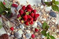 Natural vitamins: ripe raspberries in glassware on sea pebbles among scattered berries, leaves and stones, against a background