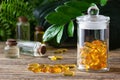 Natural vitamins and supplements. Herbal medicine pills