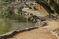 Natural walking way near the pond at nara national park. Royalty Free Stock Photo