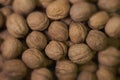 Natural walnut background pattern texture. Abstract walnuts heap pattern background. Blurred edges frame. Natural in-shell nuts