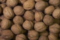 Natural walnut background pattern texture Abstract walnuts heap pattern background. Blurred edges frame Natural food in-shell nuts