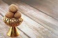 Natural walnut fruit in a hard brown shell Royalty Free Stock Photo