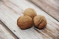 Natural walnut fruit in a hard brown shell Royalty Free Stock Photo