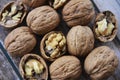 Natural walnut fruit in a hard brown shell Royalty Free Stock Photo