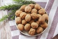 Natural walnut in a hard brown shell Royalty Free Stock Photo