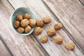 Natural walnut in a hard brown shell Royalty Free Stock Photo