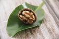 Natural walnut in a hard brown shell Royalty Free Stock Photo