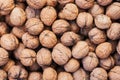 Natural walnut in shell background pattern texture