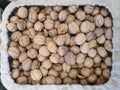 Natural Walnuts with shell a lot in farmer shop. Top view Royalty Free Stock Photo