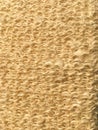 Natural washcloth texture. Yellow abstract background. Royalty Free Stock Photo