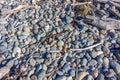 Natural waste and man-made trash from the Japan Sea, washed up on the beach at Mikawa, Japan. Royalty Free Stock Photo