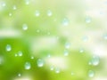 Natural water drops on glass. plus EPS10 Royalty Free Stock Photo