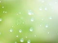 Natural water drops on glass. plus EPS10 Royalty Free Stock Photo