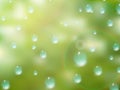 Natural water drops on glass. plus EPS10 Royalty Free Stock Photo