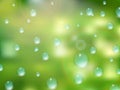 Natural water drops on glass. plus EPS10 Royalty Free Stock Photo