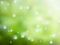 Natural water drops on glass. plus EPS10 Royalty Free Stock Photo