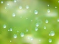 Natural water drops on glass. plus EPS10 Royalty Free Stock Photo