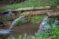 Natural water is flowing from bamboo pipe for agriculture Royalty Free Stock Photo