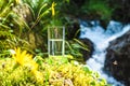 Natural water in a glass, against the background of nature and a mountain river, the concept of proper nutrition Royalty Free Stock Photo