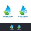 Natural Water logo design with water drop and leaf illustration Royalty Free Stock Photo