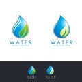 Natural Water logo design with water drop and leaf illustration Royalty Free Stock Photo