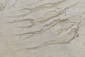 Natural water patterns in wet sand on a beach, showing erosion and texture Royalty Free Stock Photo