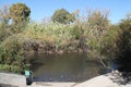 Natural Water Pool in The Flora, Dalyot Brook, Dalyot Nature Reserve Park, Israel