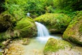 Waterfall in a Bavarian forest