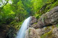 Waterfall in a Bavarian forest Royalty Free Stock Photo