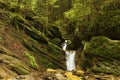 Beautiful Summer landscape whit forest and waterfall. Summer forest photography Royalty Free Stock Photo