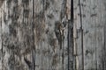 Natural Weathered Grey Tan Taupe Wooden Board, Cracked Ruined Rough Cut Sepia Wood Texture, Large Detailed Old Aged Gray Lumber Royalty Free Stock Photo