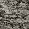 Natural Weathered Grey Taupe Brown Cut Tree Stump Texture, Large Detailed Wounded Damaged Vandalized Gray Lumber Background Wood