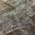 Natural Weathered Grey Tree Stump Cut Texture, Large Detailed Old Aged Gray Lumber Background Horizontal Macro Closeup, Dark Black Royalty Free Stock Photo