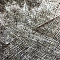 Natural Weathered Grey Tree Stump Cut Texture, Large Detailed Old Aged Gray Lumber Background Macro Closeup, Dark Black Cracked Royalty Free Stock Photo